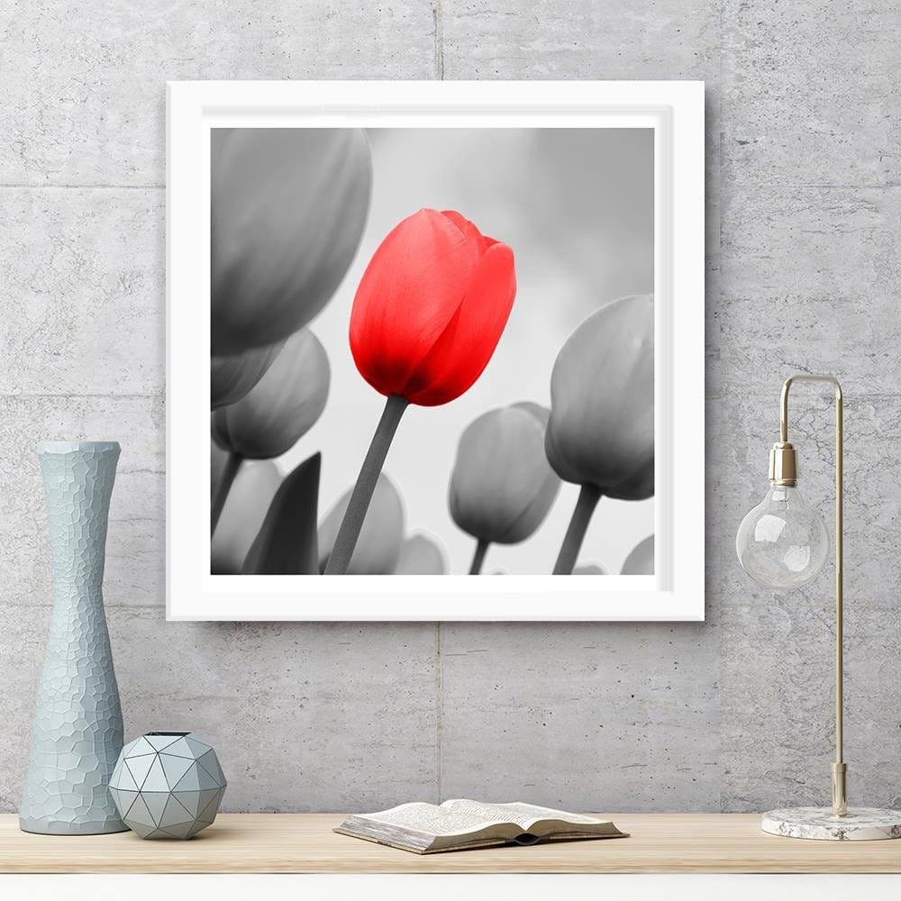 Glezna baltā rāmī - Red Tulip In Gray Home Trends DECO
