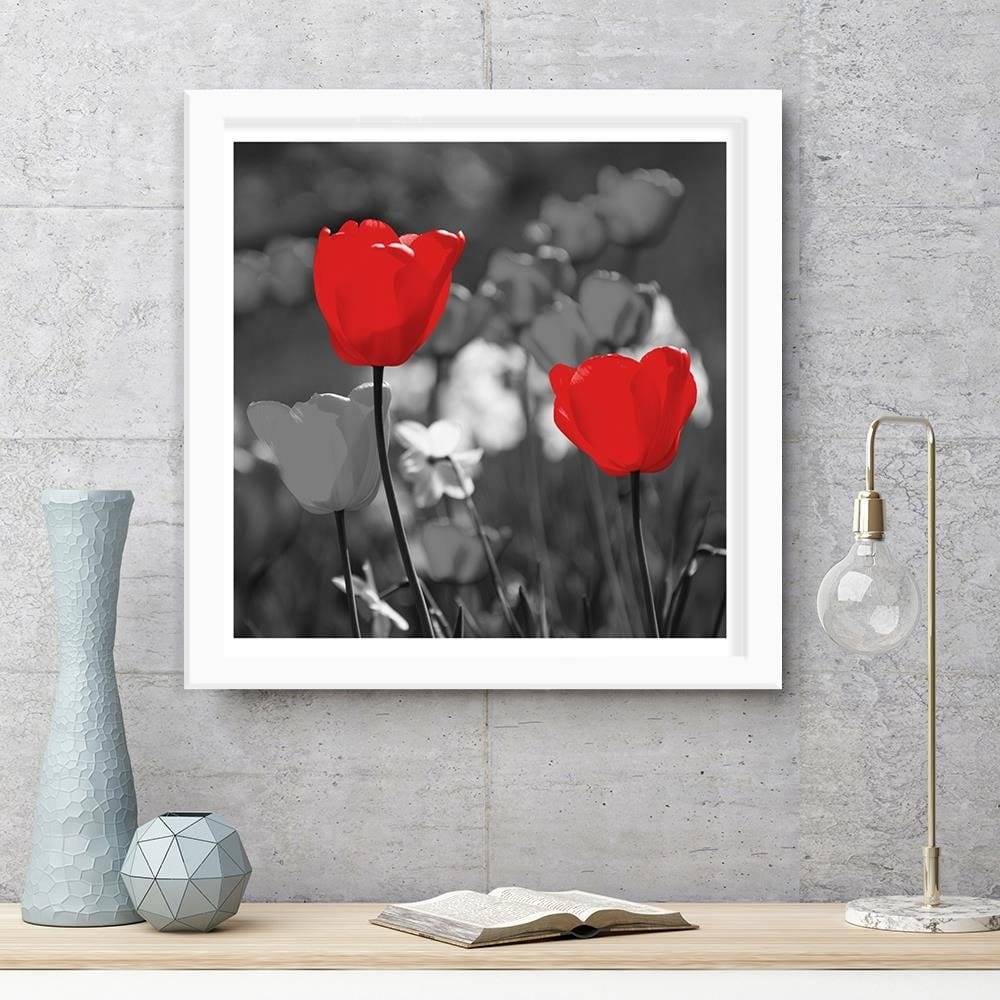 Glezna baltā rāmī - Red Tulips In Gray Home Trends DECO