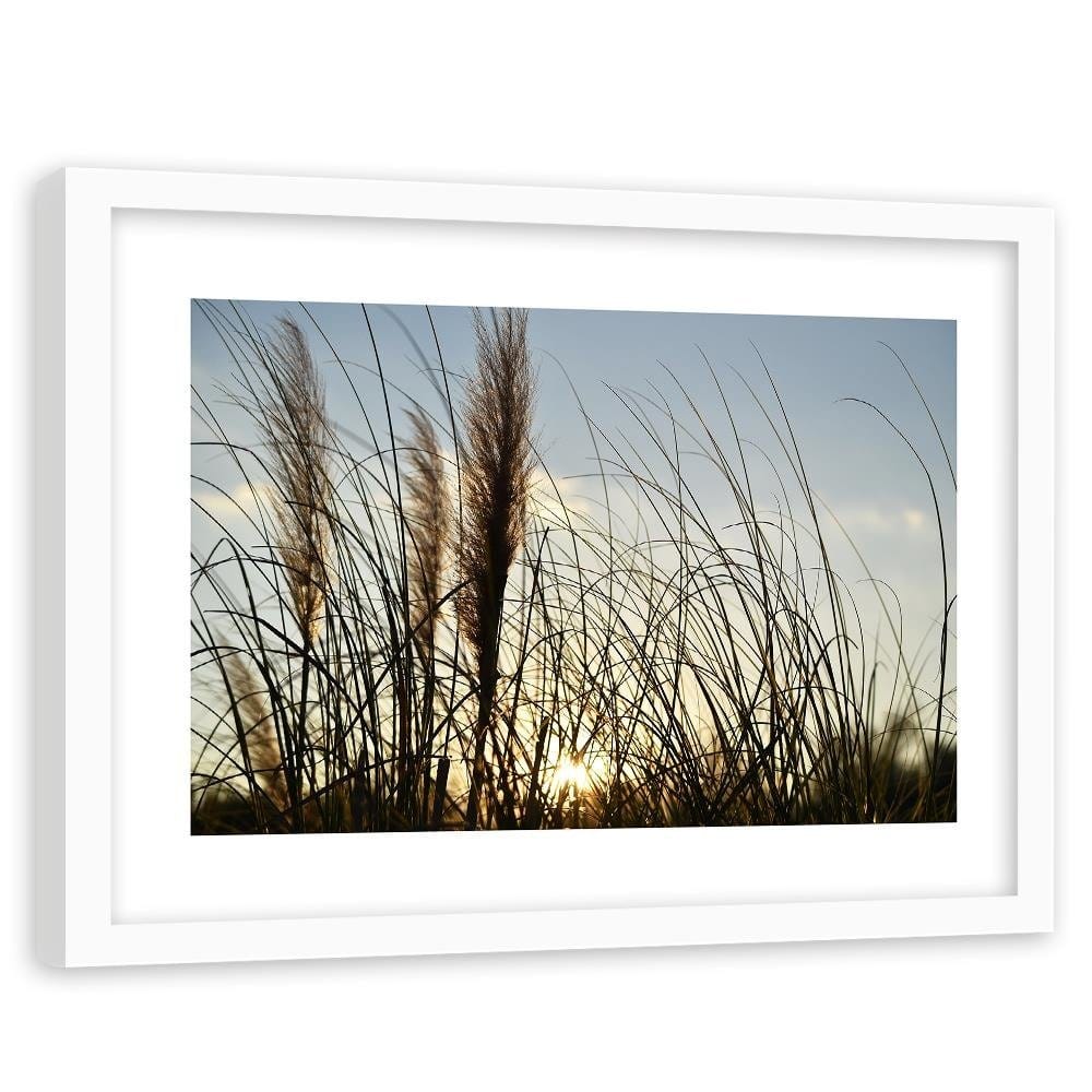Glezna baltā rāmī - Reed In The Sun Home Trends DECO