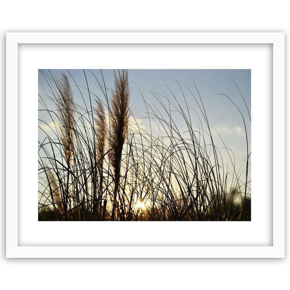Glezna baltā rāmī - Reed In The Sun Home Trends DECO