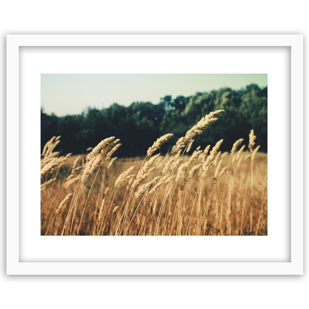 Glezna baltā rāmī - Ripe Corn Home Trends DECO