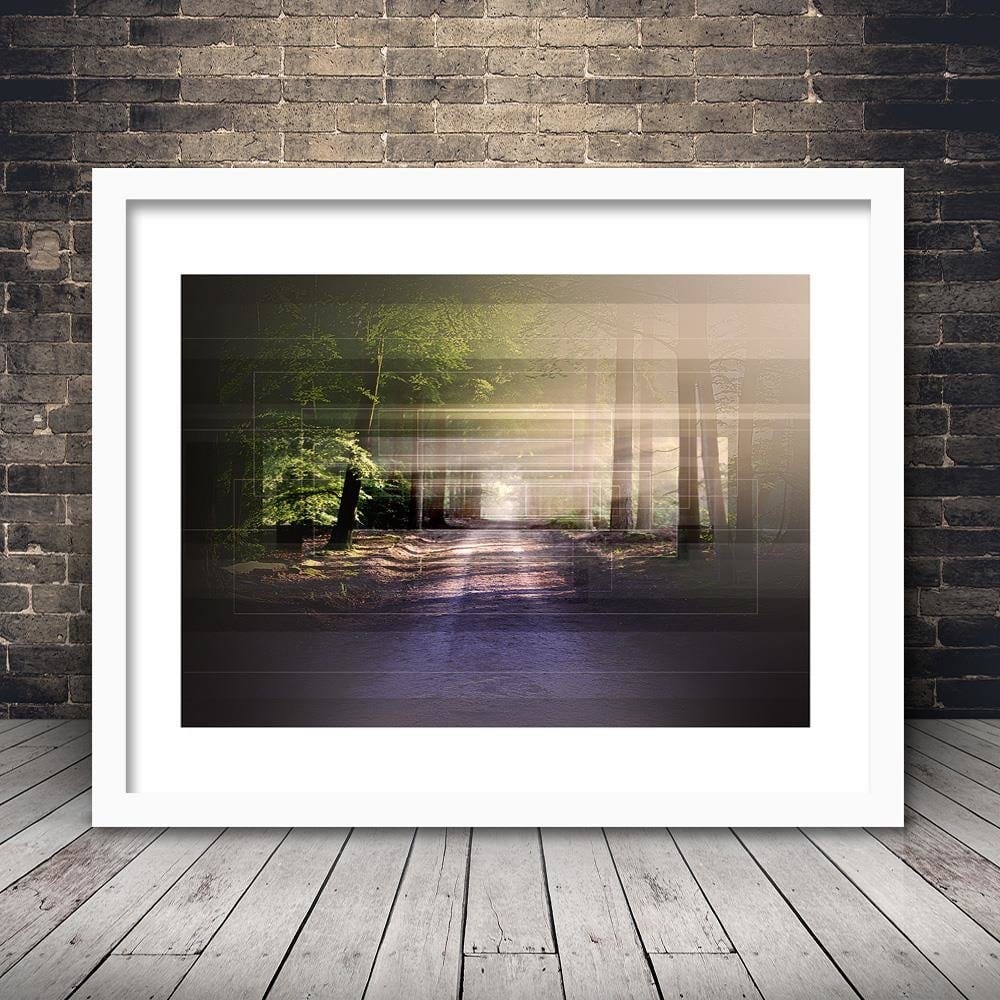 Glezna baltā rāmī - Road In Forest 1 Home Trends DECO