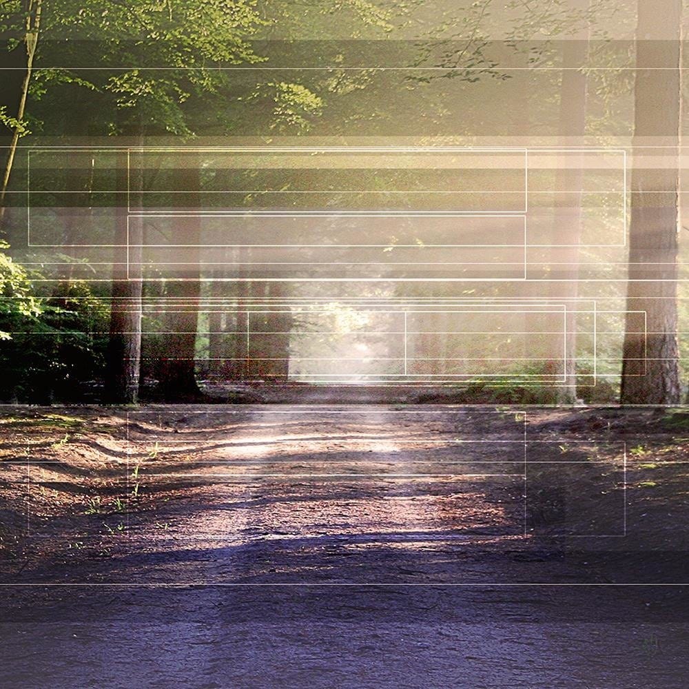 Glezna baltā rāmī - Road In Forest 1 Home Trends DECO