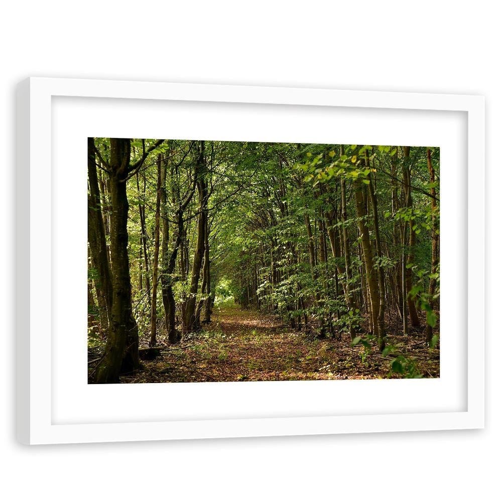 Glezna baltā rāmī - Road In The Dense Forest Home Trends DECO