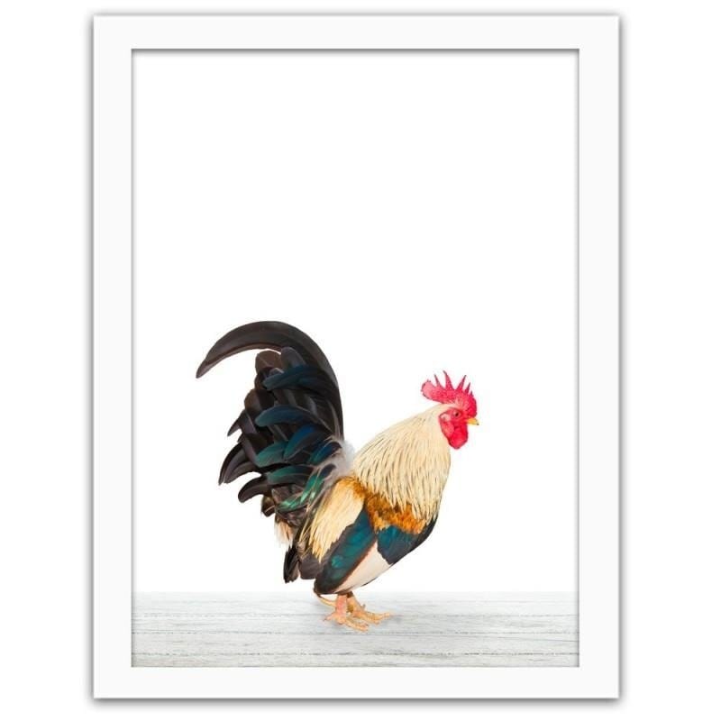 Glezna baltā rāmī - Rooster 2 Home Trends DECO