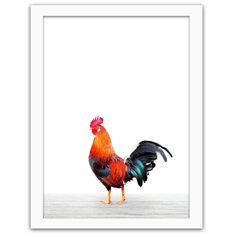 Glezna baltā rāmī - Rooster Home Trends DECO