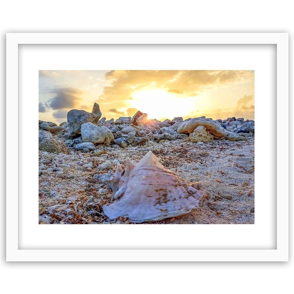 Glezna baltā rāmī - Seashell And Stones Home Trends DECO