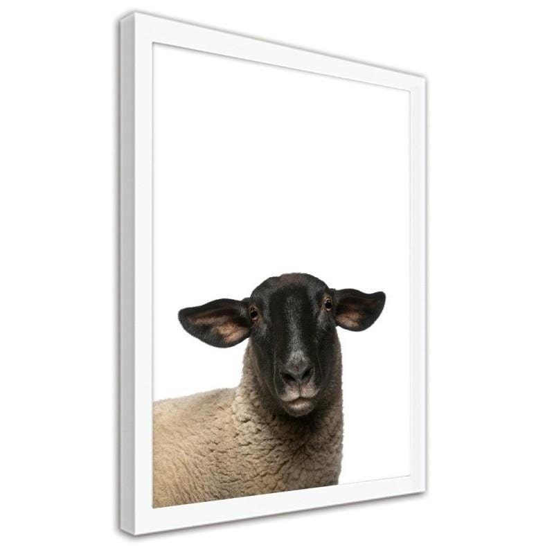 Glezna baltā rāmī - Sheep Home Trends DECO