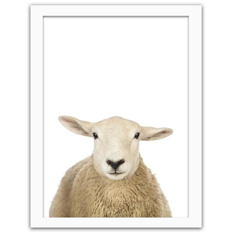 Glezna baltā rāmī - Sheep portrait Home Trends DECO