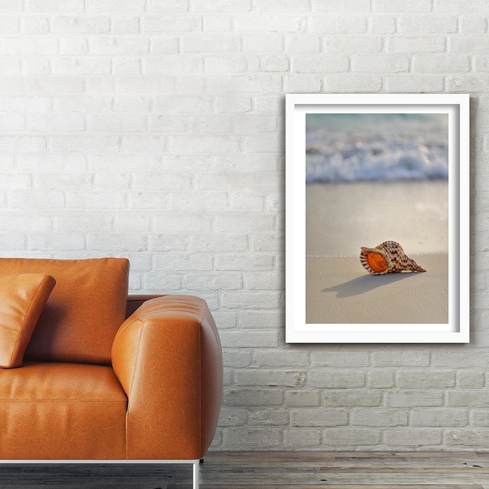Glezna baltā rāmī - Shell On The Beach  Home Trends DECO