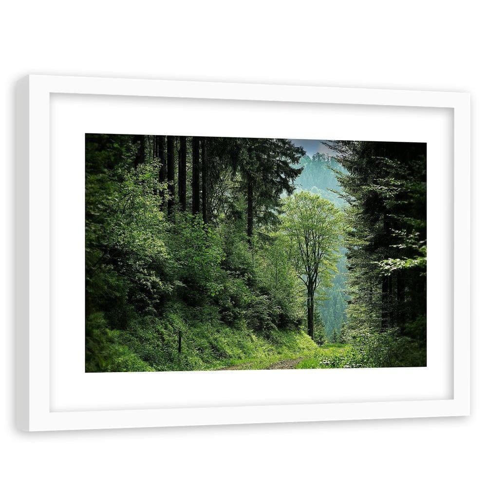 Glezna baltā rāmī - Shrubs At Forest Road Home Trends DECO