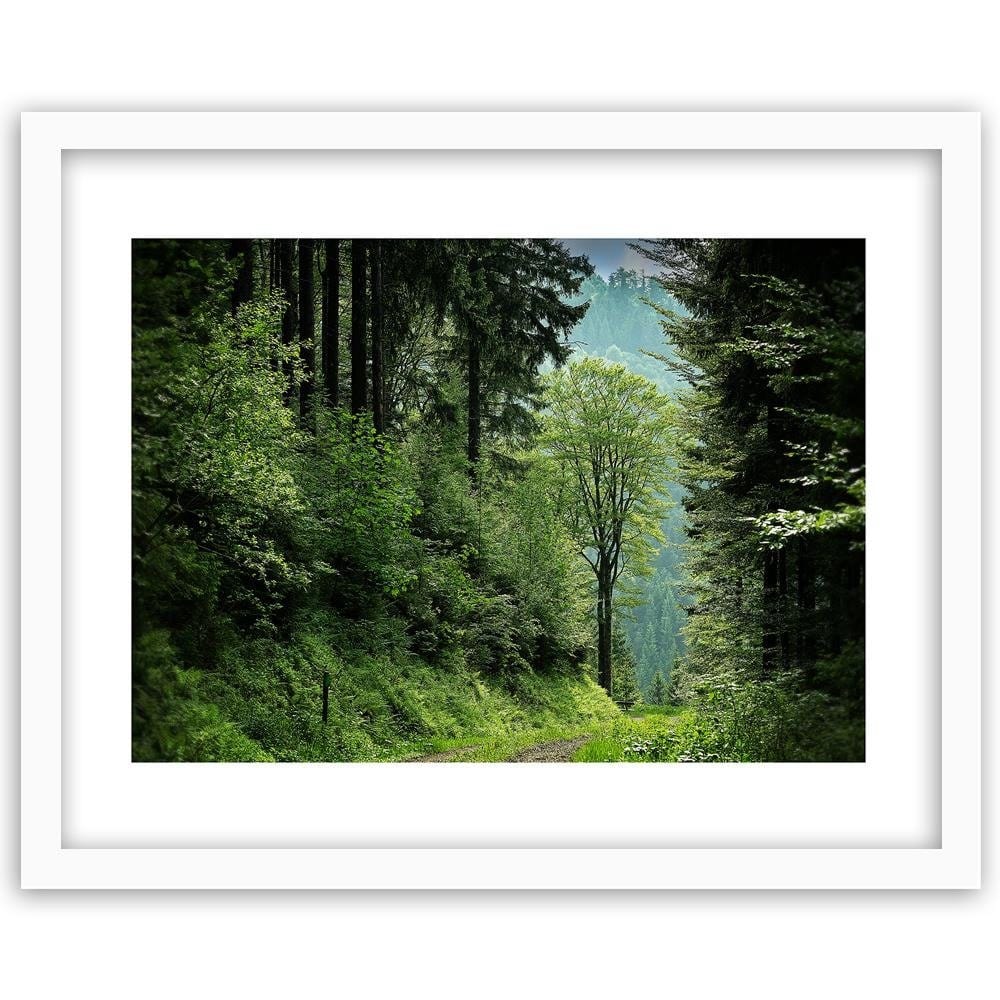 Glezna baltā rāmī - Shrubs At Forest Road Home Trends DECO
