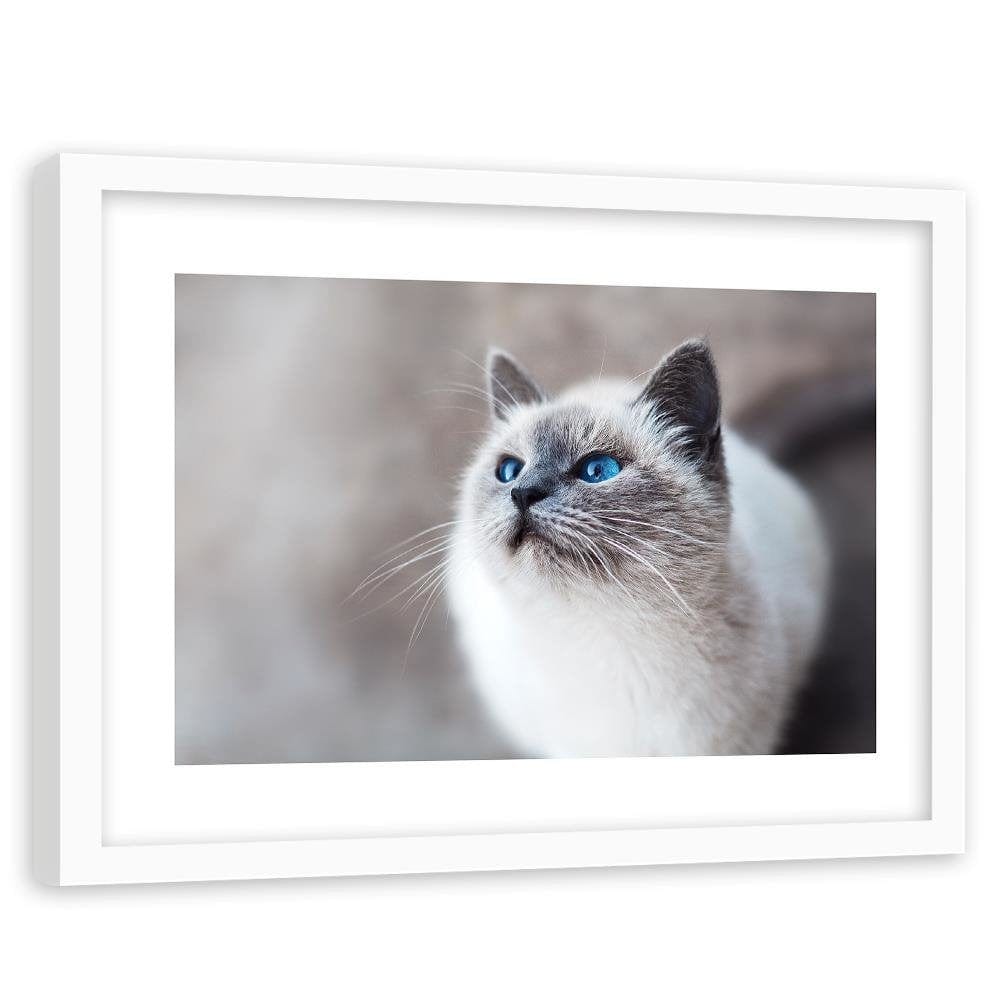 Glezna baltā rāmī - Siberian Cat Home Trends DECO