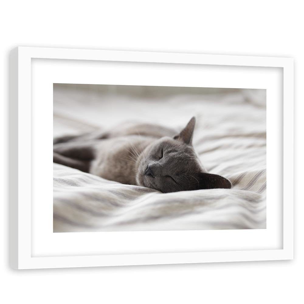 Glezna baltā rāmī - Sleepy Cat Home Trends DECO