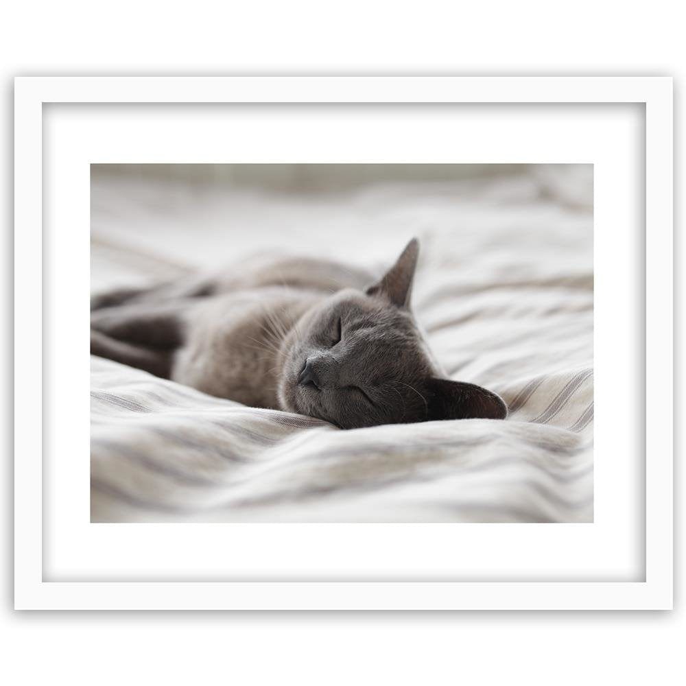 Glezna baltā rāmī - Sleepy Cat Home Trends DECO