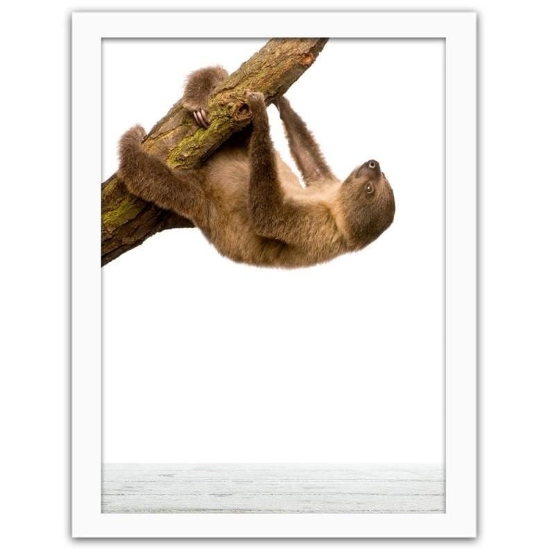 Glezna baltā rāmī - Sloth Home Trends DECO