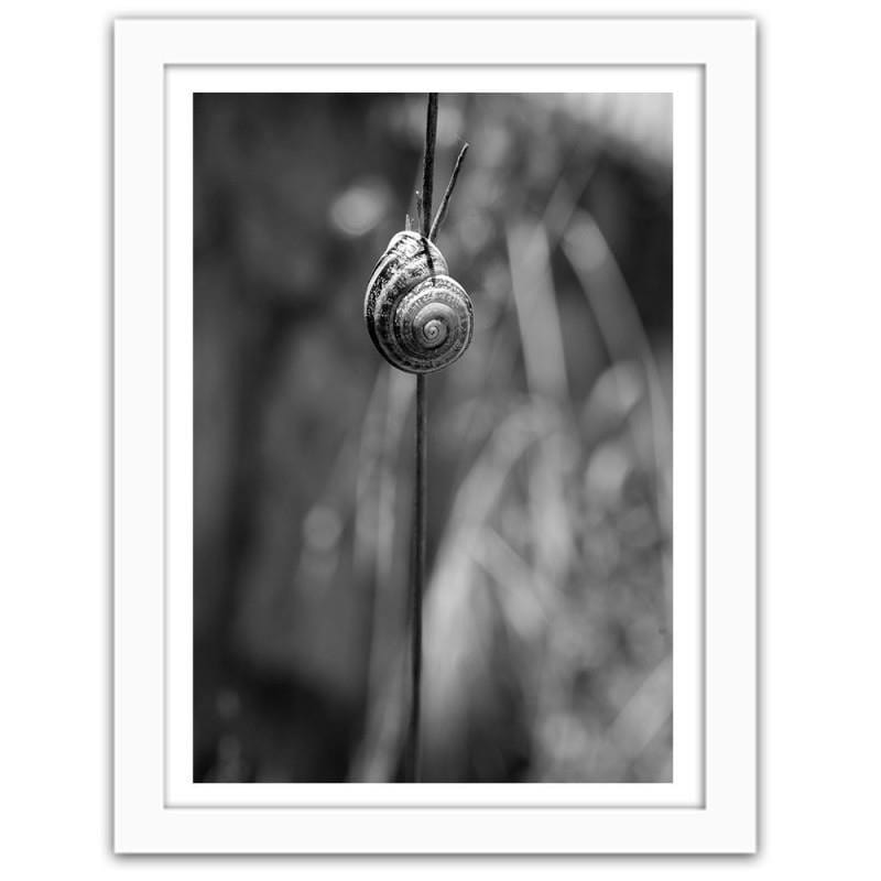 Glezna baltā rāmī - Snail on a branch Home Trends DECO