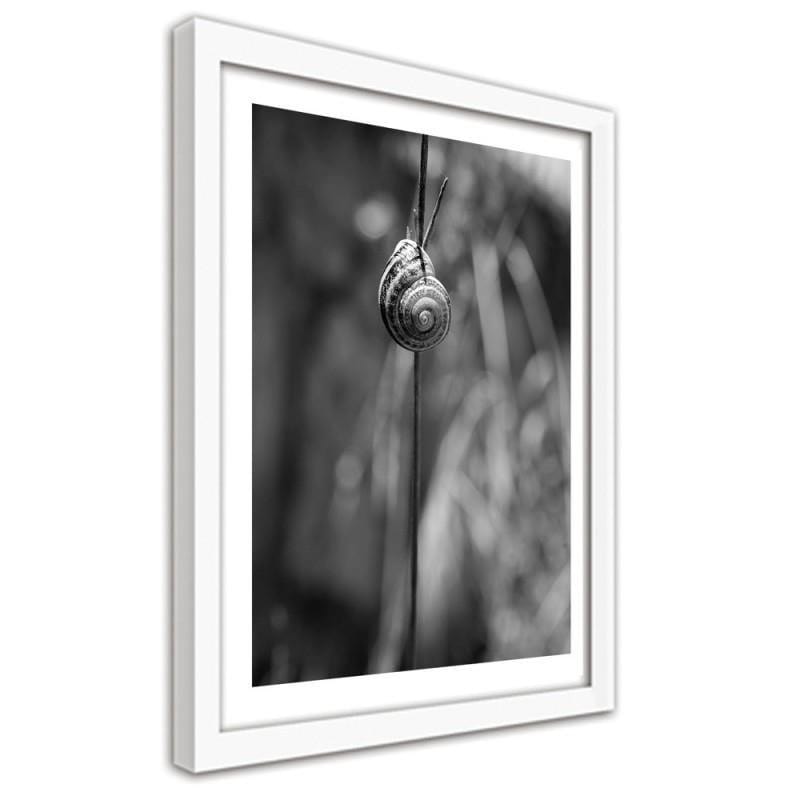 Glezna baltā rāmī - Snail on a branch Home Trends DECO