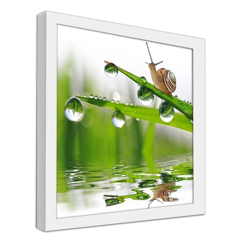 Glezna baltā rāmī - Snail on sprinkled grass Home Trends DECO