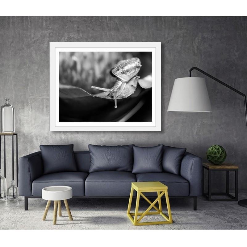 Glezna baltā rāmī - Snail on the leaf Home Trends DECO