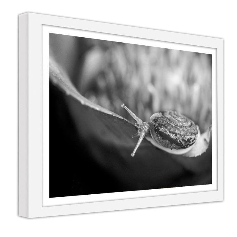 Glezna baltā rāmī - Snail on the plant Home Trends DECO