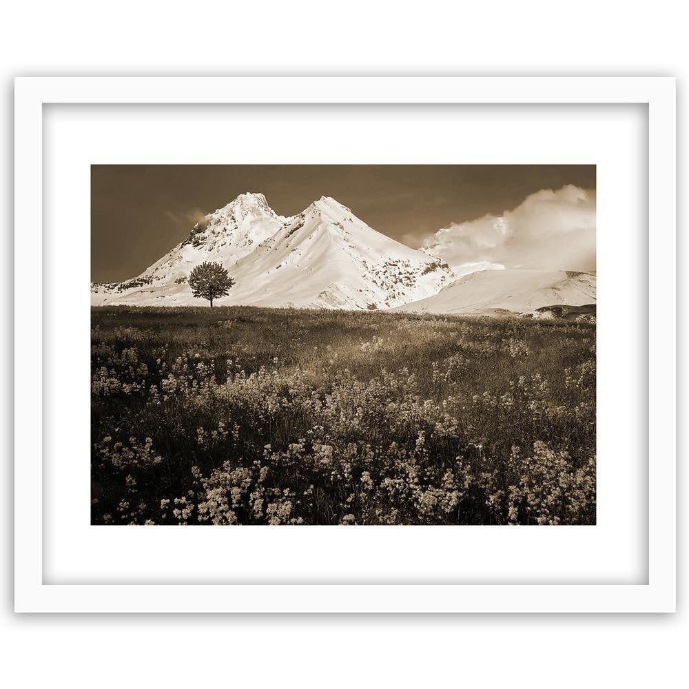 Glezna baltā rāmī - Snowy Mountains And Colorful Meadow 1 Home Trends DECO