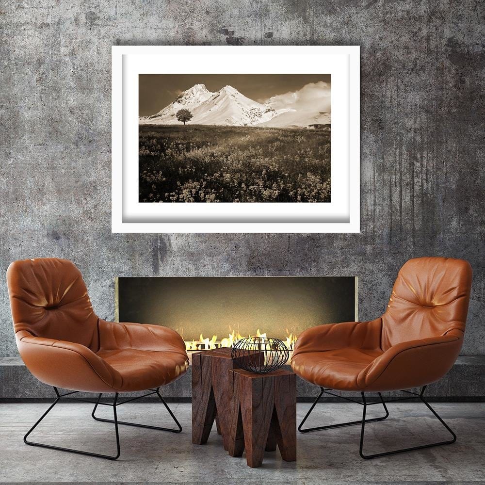 Glezna baltā rāmī - Snowy Mountains And Colorful Meadow 1 Home Trends DECO