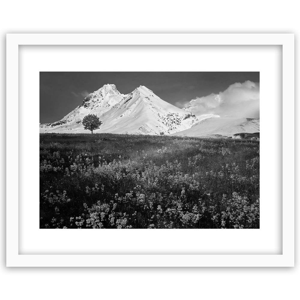 Glezna baltā rāmī - Snowy Mountains And Colorful Meadow 2 Home Trends DECO