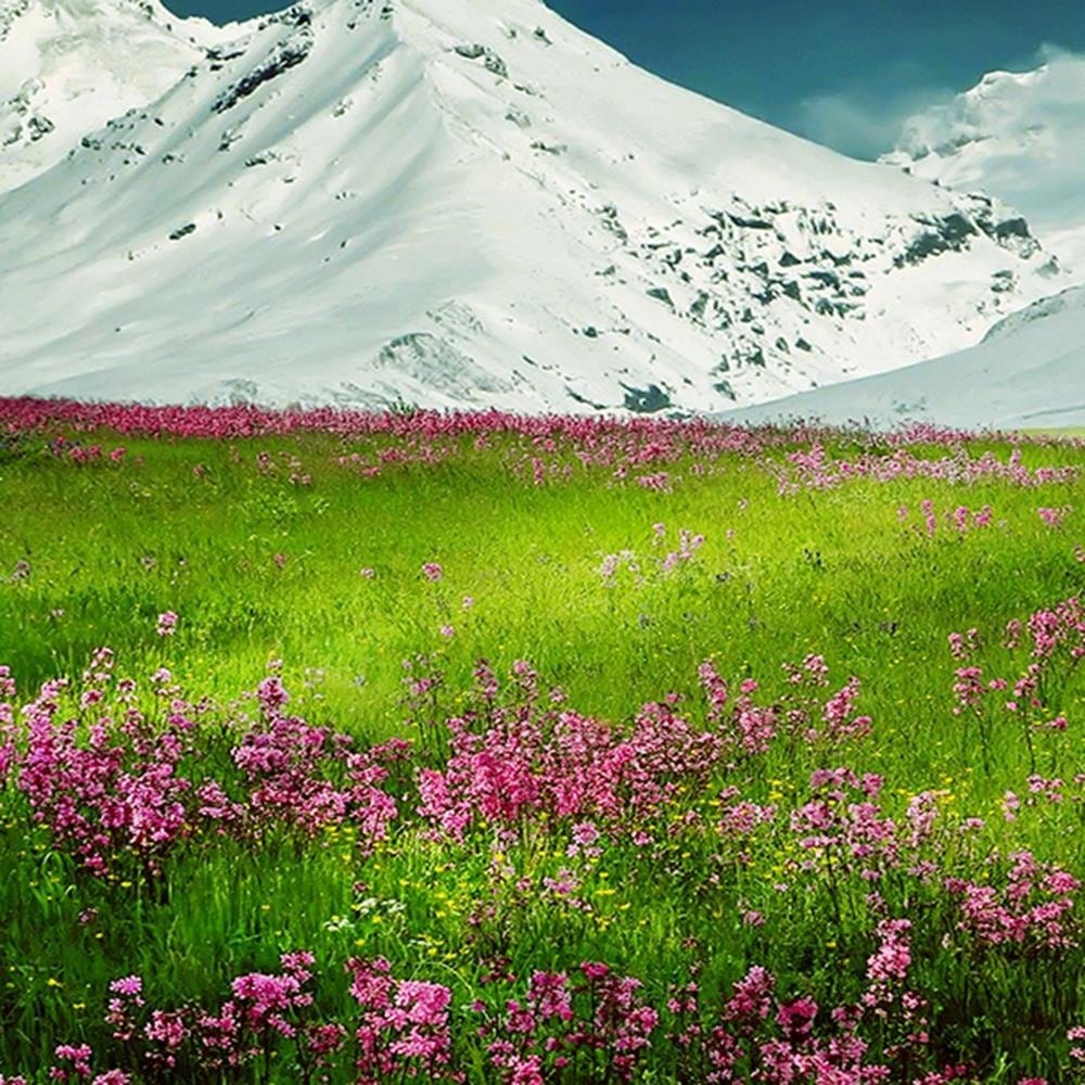 Glezna baltā rāmī - Snowy Mountains And Colorful Meadow 3 Home Trends DECO