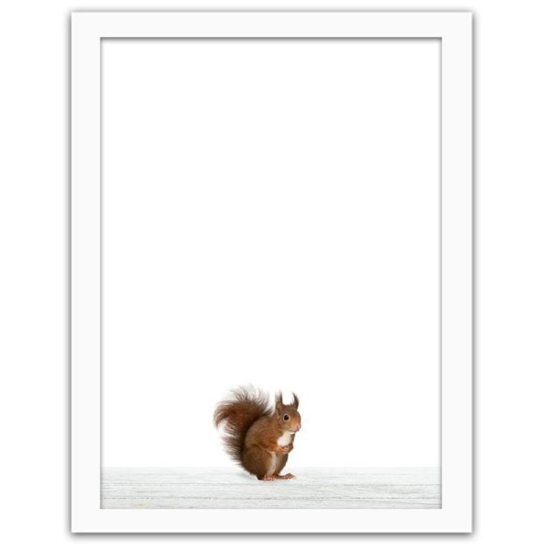 Glezna baltā rāmī - Squirrel Home Trends DECO