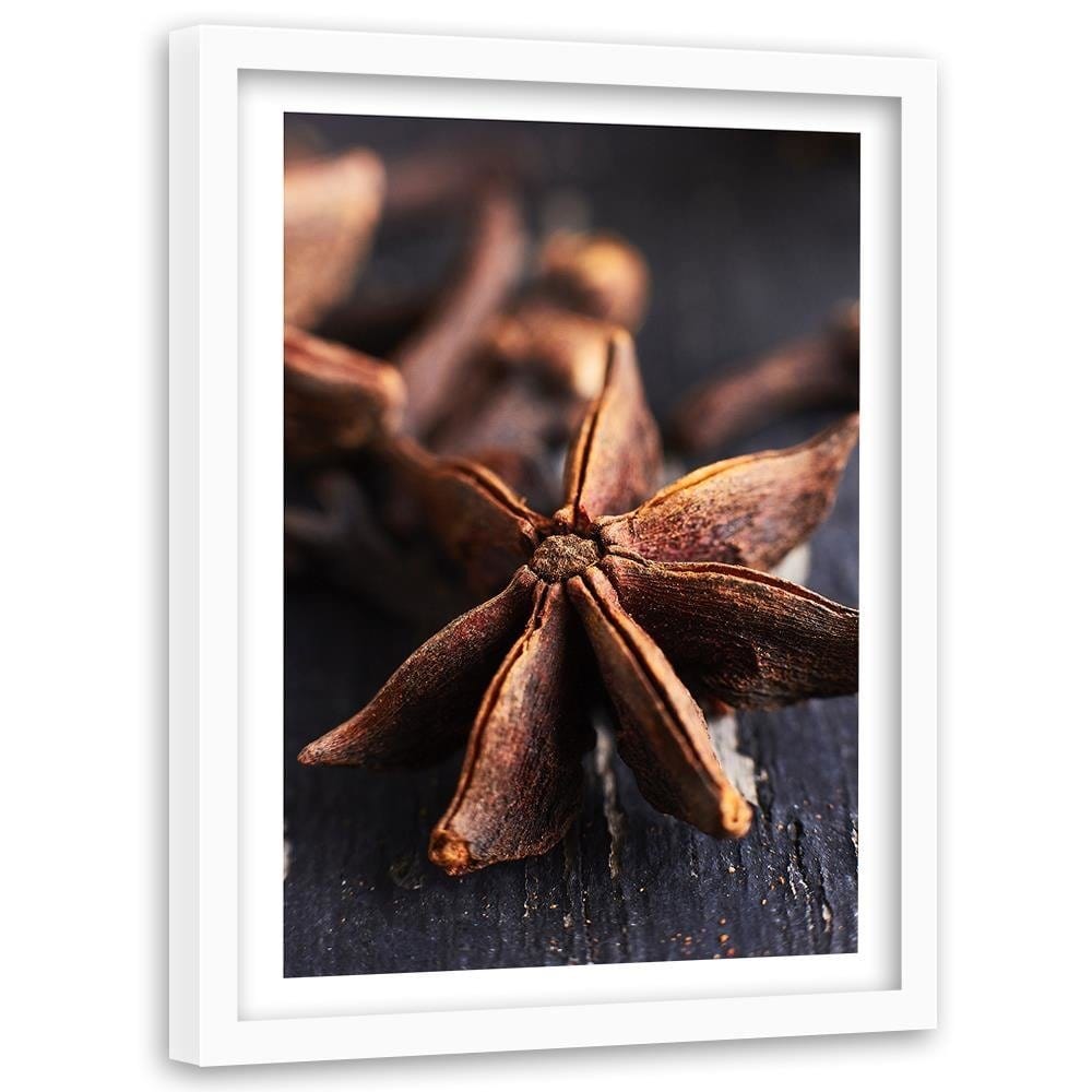 Glezna baltā rāmī - Star Anise Home Trends DECO