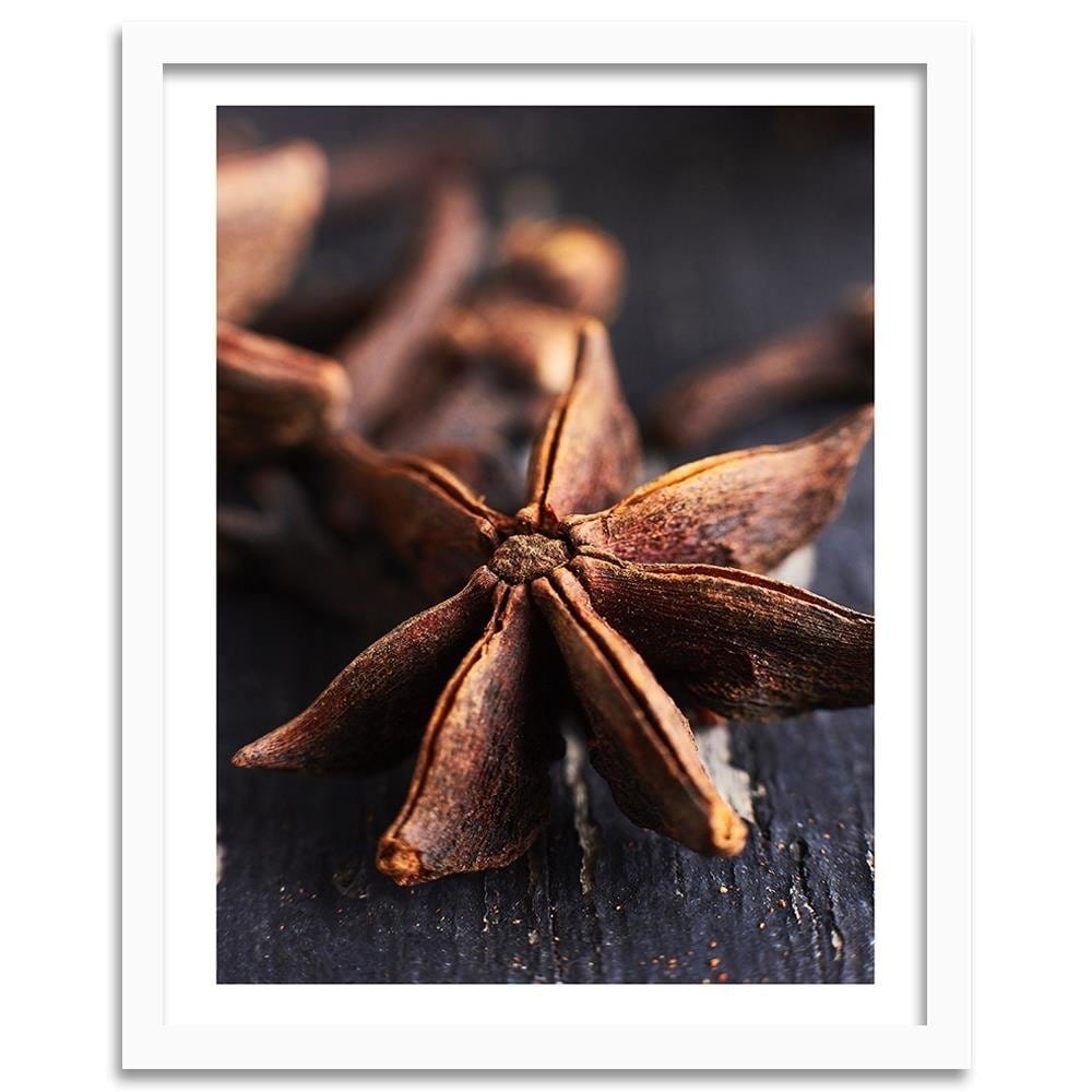 Glezna baltā rāmī - Star Anise Home Trends DECO