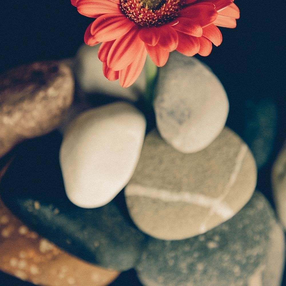 Glezna baltā rāmī - Stones And Red Flower Home Trends DECO