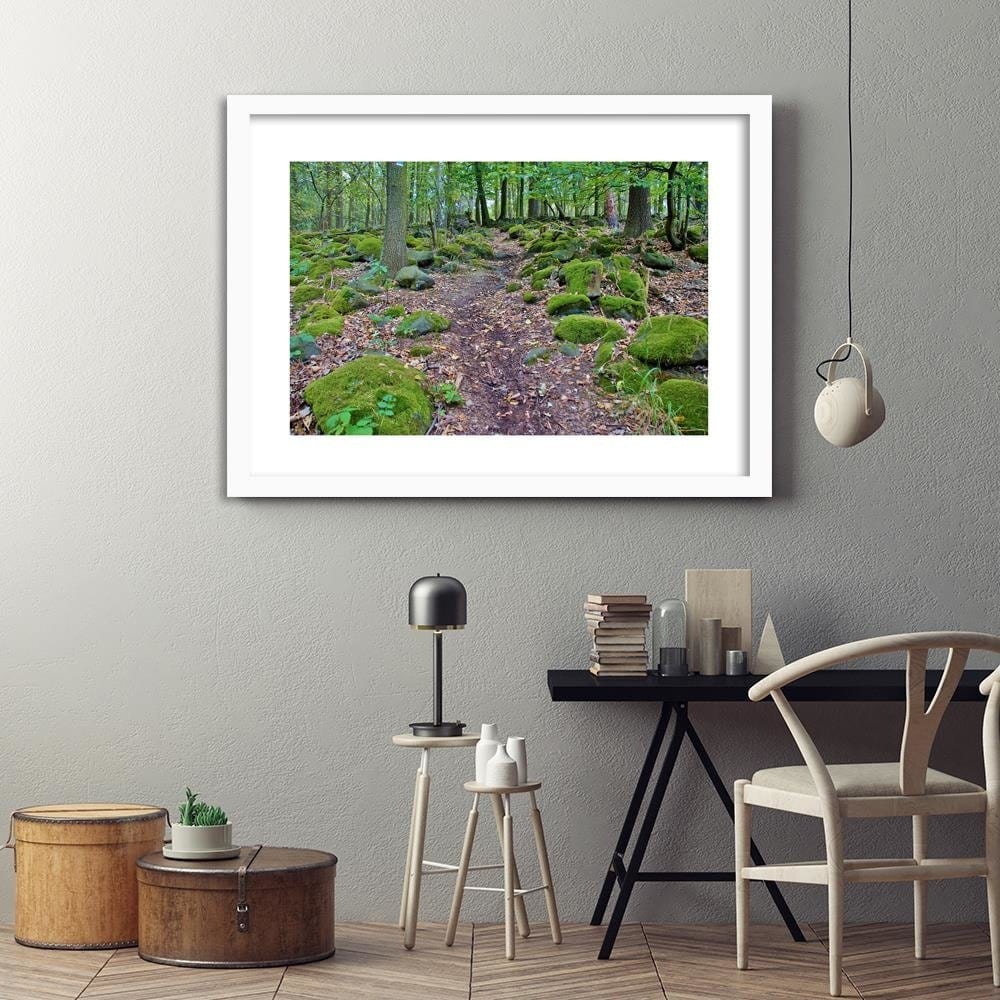 Glezna baltā rāmī - Stones Covered With Moss Home Trends DECO