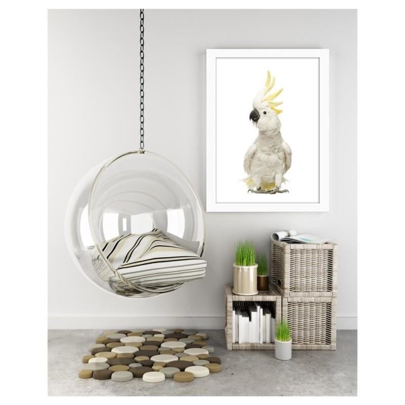 Glezna baltā rāmī - Sulfur-crested cockatoos Home Trends DECO