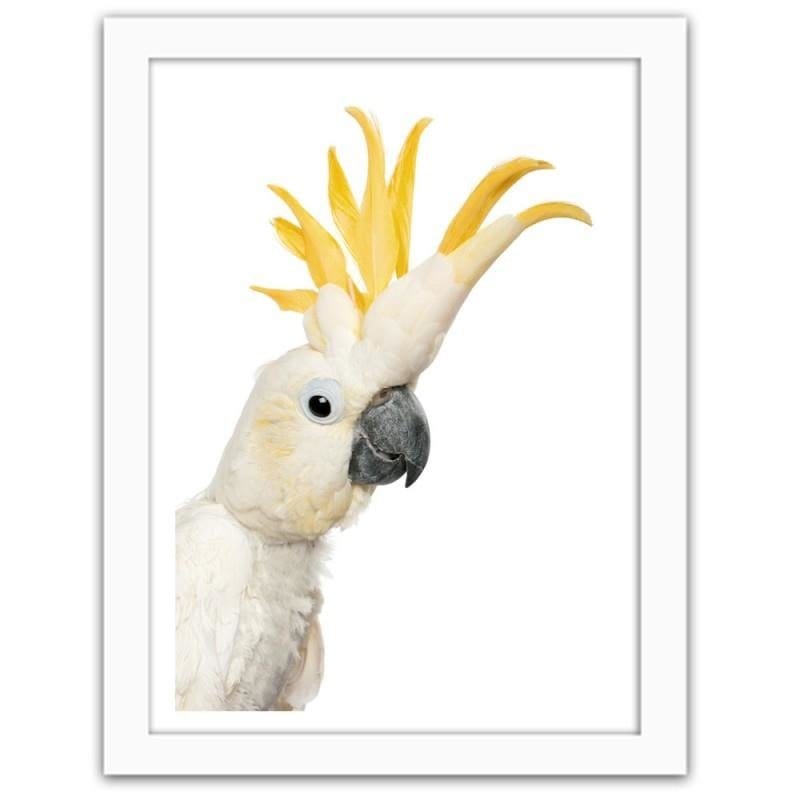 Glezna baltā rāmī - Sulphur-crested cockatoos Home Trends DECO