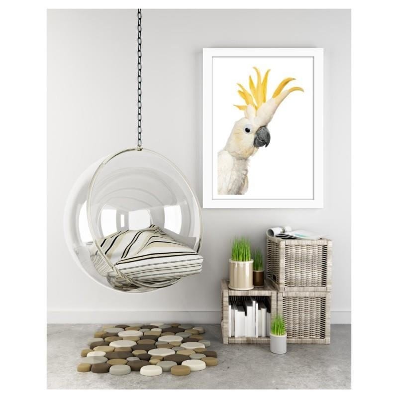 Glezna baltā rāmī - Sulphur-crested cockatoos Home Trends DECO