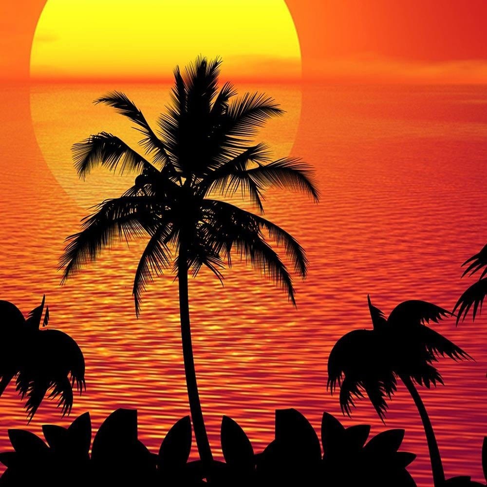 Glezna baltā rāmī - Sunset And Palm Trees 2 Home Trends DECO