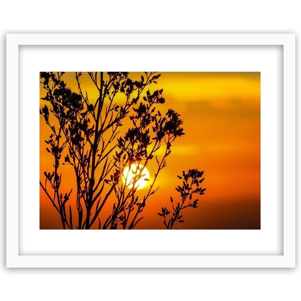 Glezna baltā rāmī - Sunset Behind A Plant Home Trends DECO