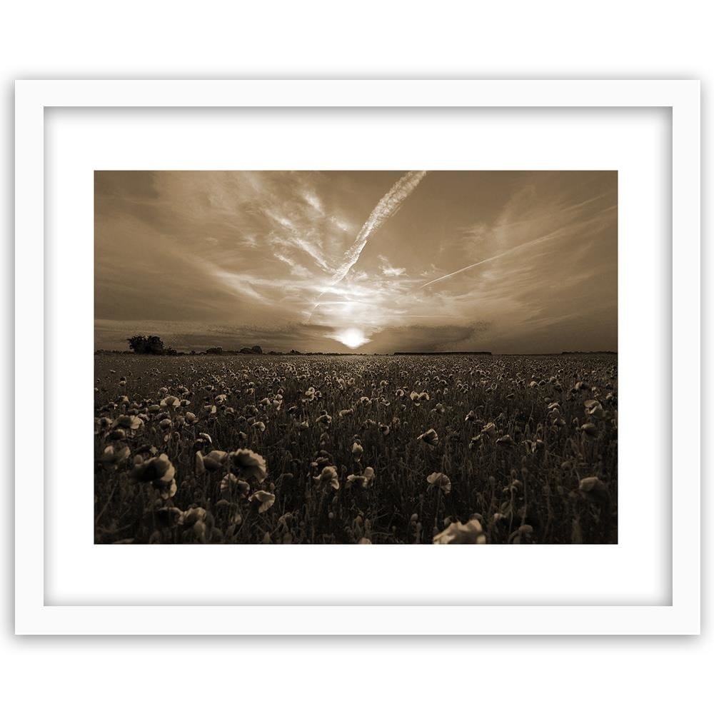 Glezna baltā rāmī - Sunset Over A Field Poppy 1 Home Trends DECO