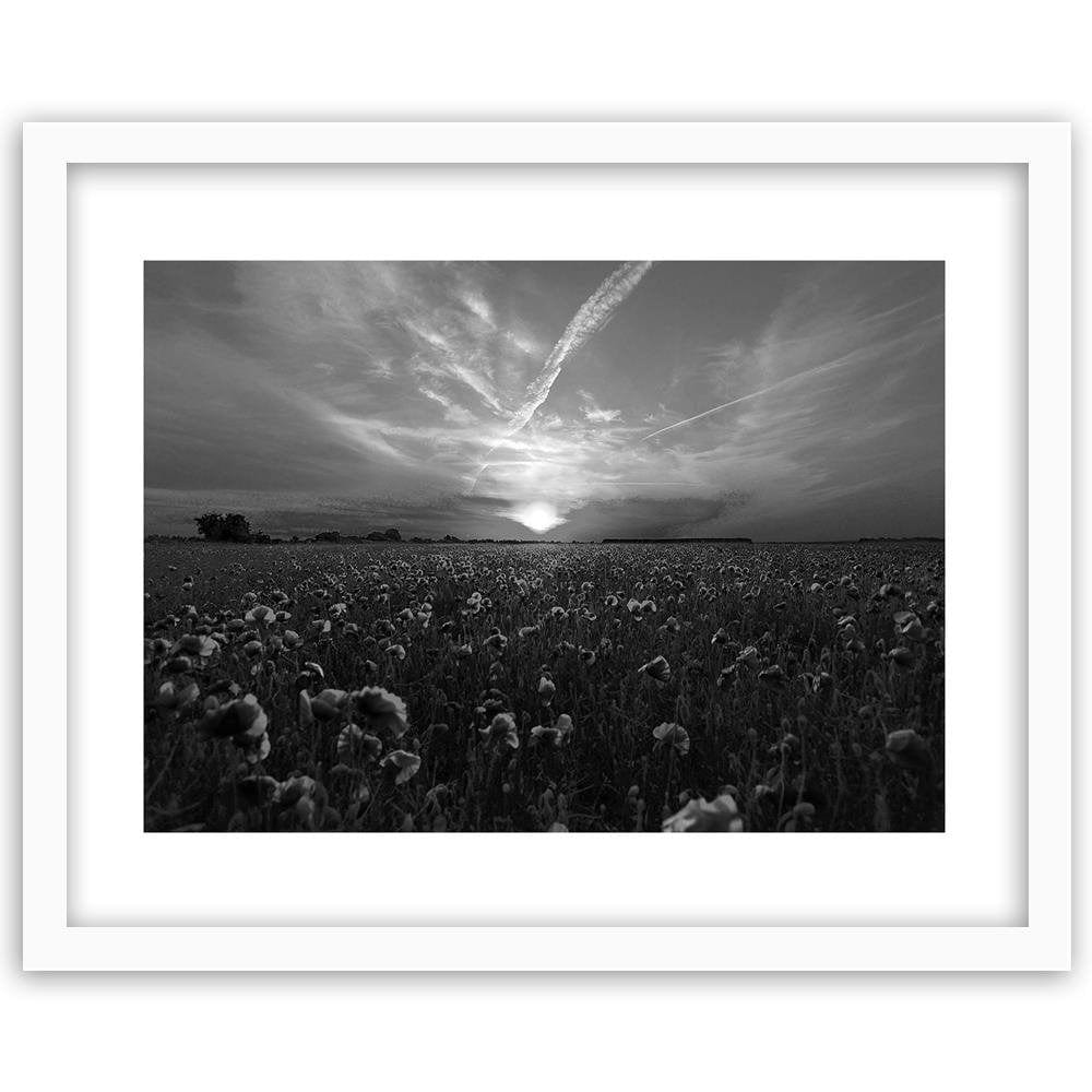 Glezna baltā rāmī - Sunset Over A Field Poppy 2 Home Trends DECO