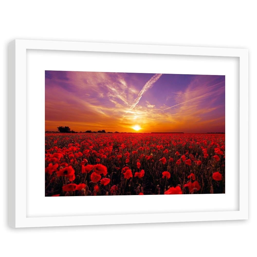 Glezna baltā rāmī - Sunset Over A Field Poppy 3 Home Trends DECO