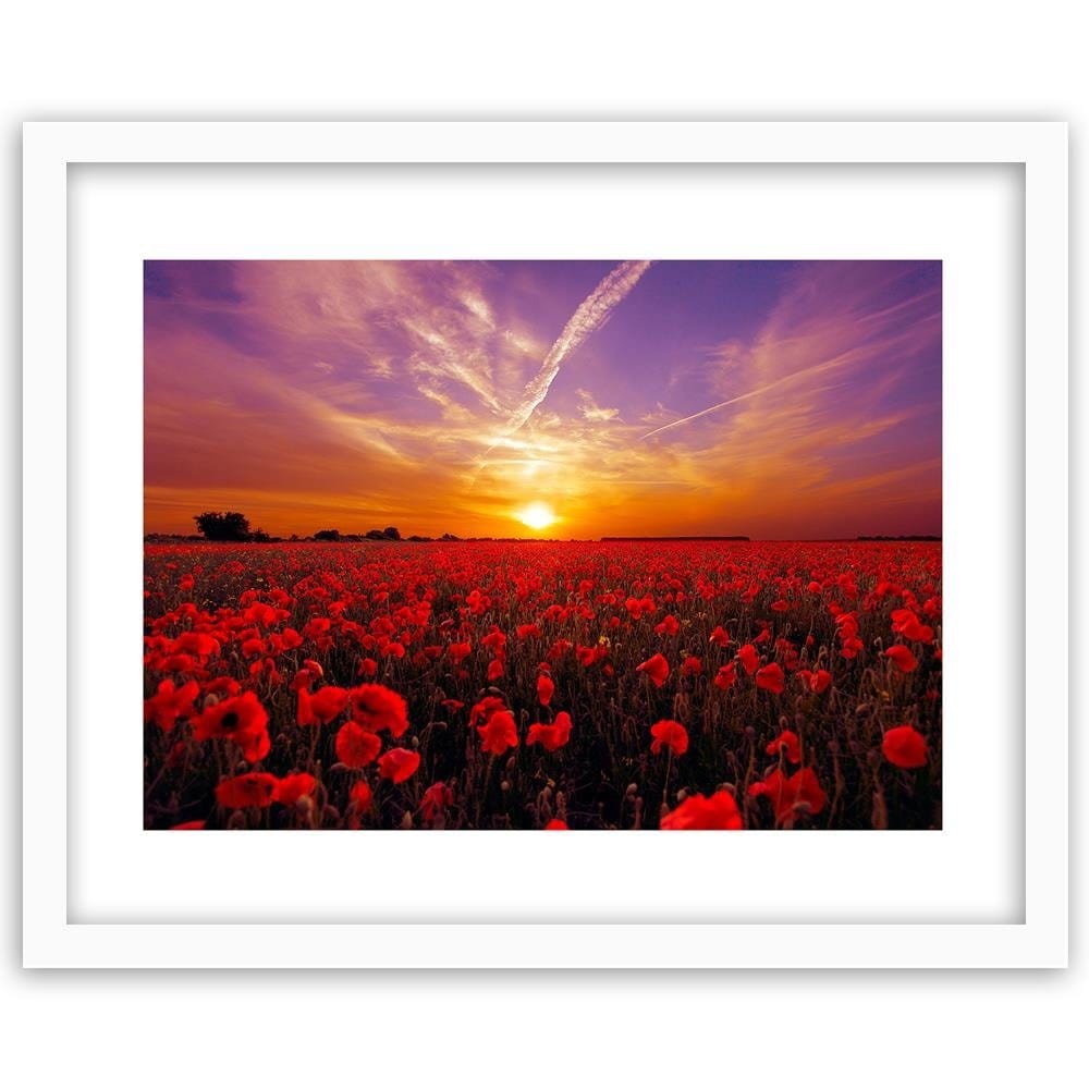Glezna baltā rāmī - Sunset Over A Field Poppy 3 Home Trends DECO