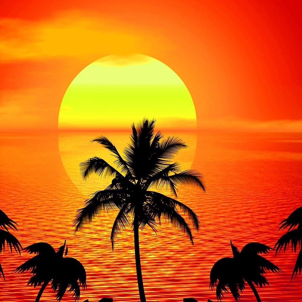 Glezna baltā rāmī - Sunset With Palm Trees 4 Home Trends DECO
