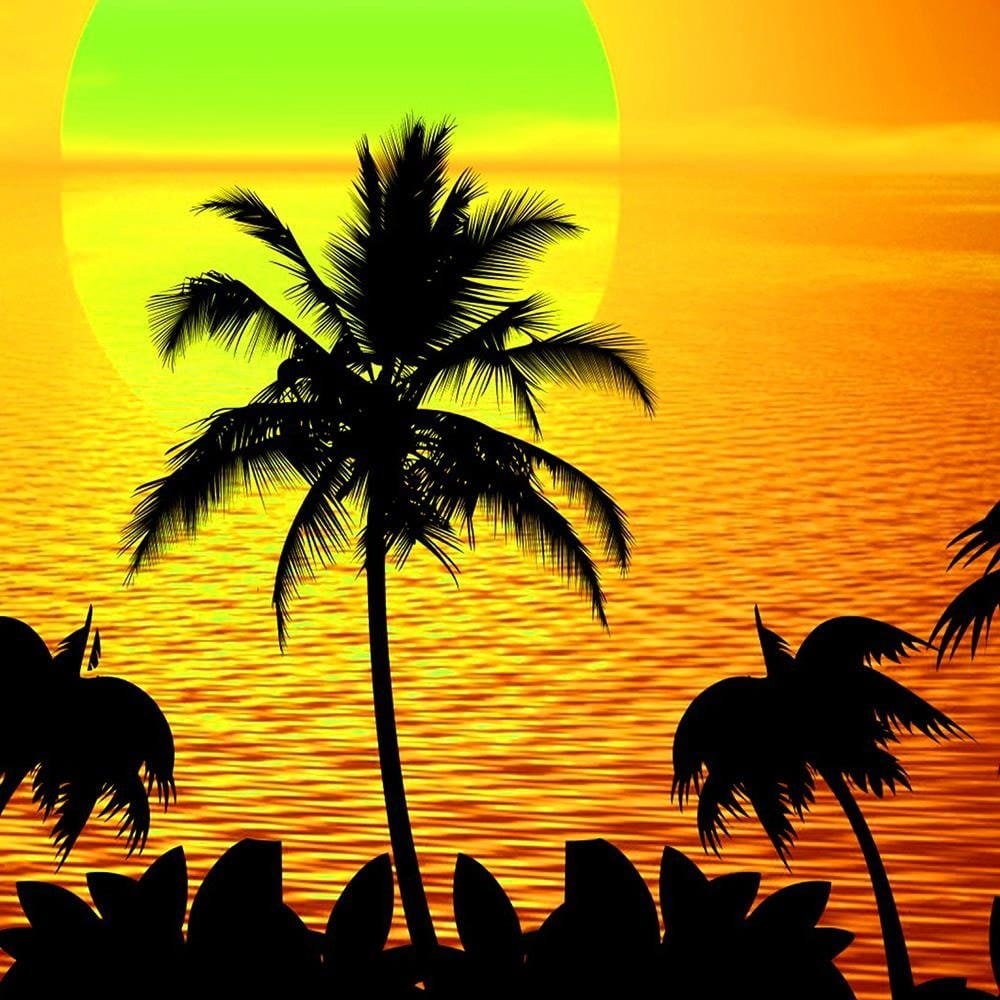 Glezna baltā rāmī - Sunset With Palm Trees Home Trends DECO
