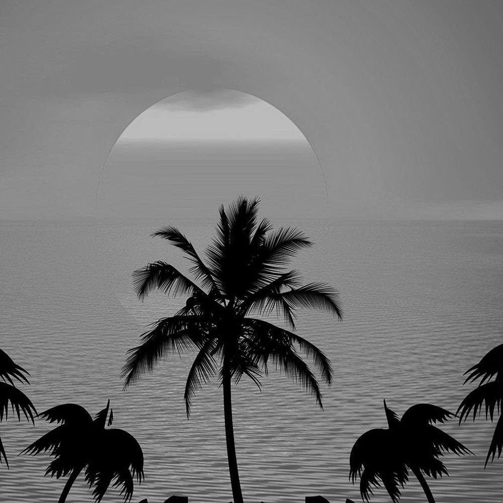 Glezna baltā rāmī - Sunset With Palms 2 Home Trends DECO