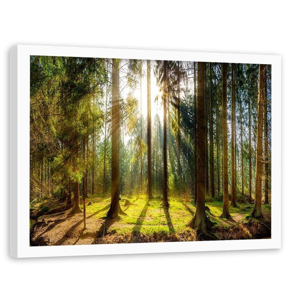 Glezna baltā rāmī - Sunshine Behind The Trees Home Trends DECO