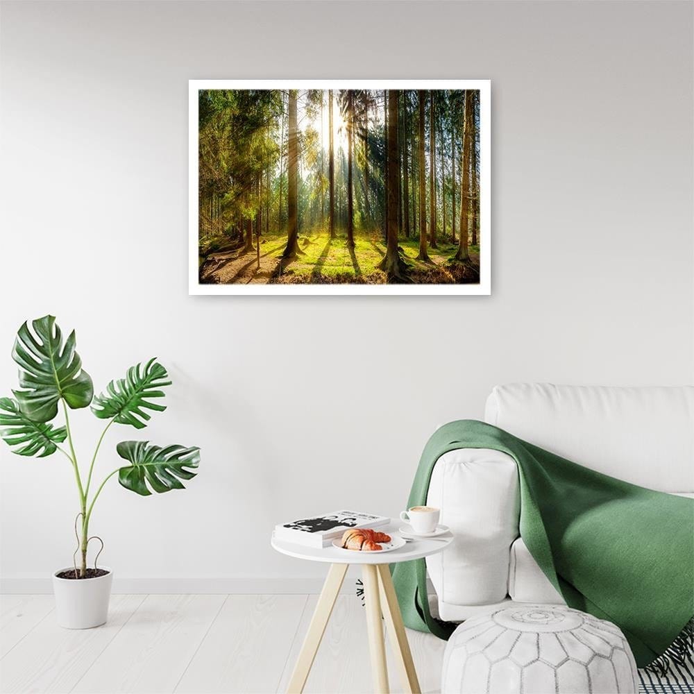 Glezna baltā rāmī - Sunshine Behind The Trees Home Trends DECO