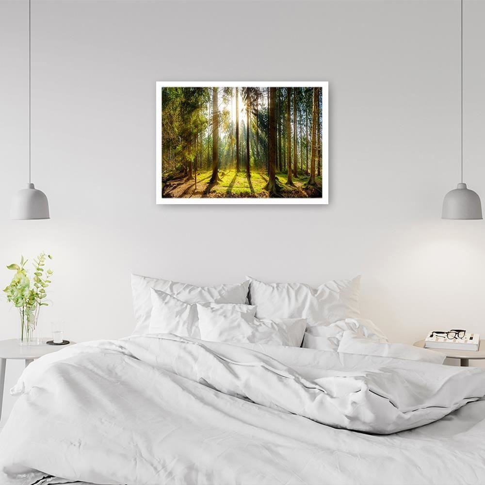 Glezna baltā rāmī - Sunshine Behind The Trees Home Trends DECO