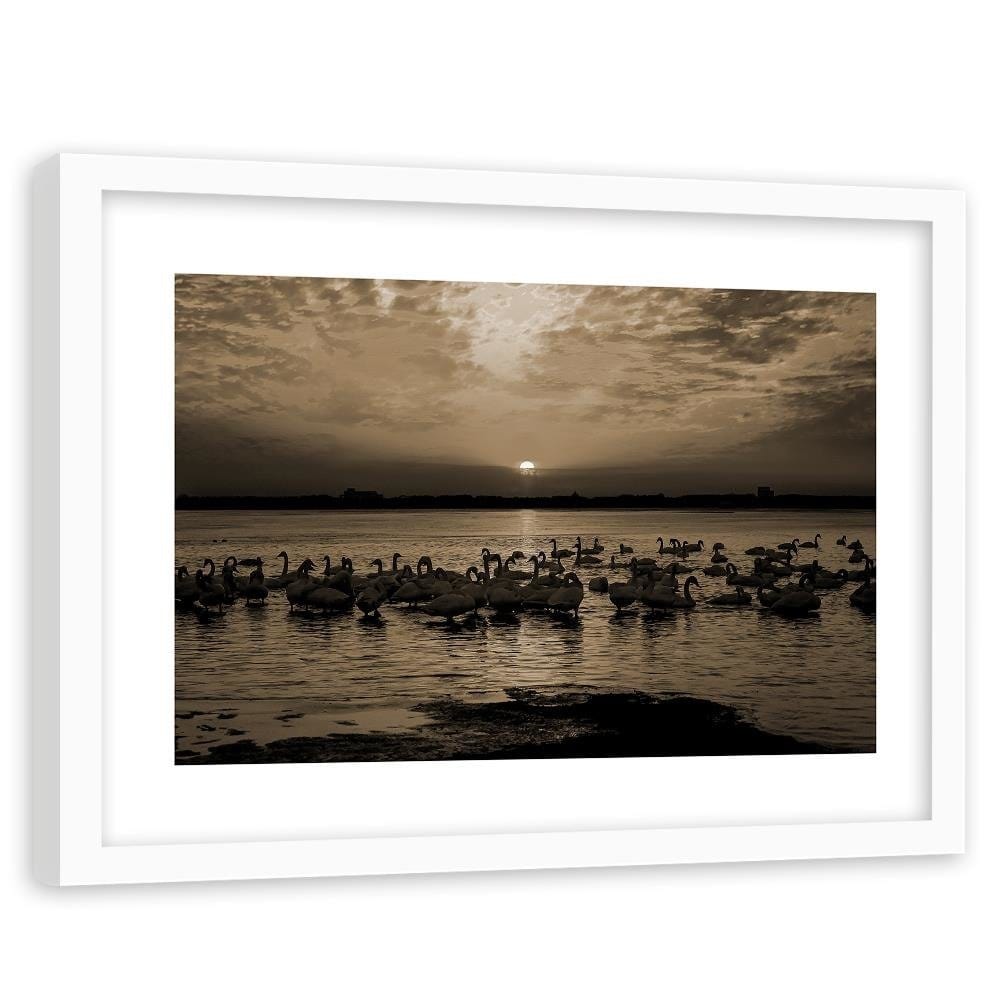 Glezna baltā rāmī - Swans On Shore 1 Home Trends DECO